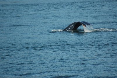 Alaska 2011_092.JPG