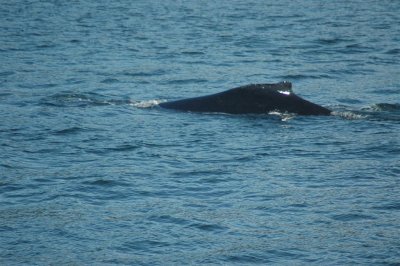 Alaska 2011_096.JPG