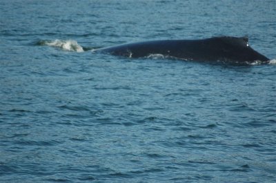 Alaska 2011_098.JPG