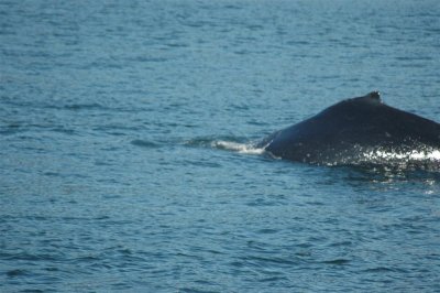 Alaska 2011_099.JPG