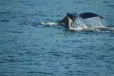 Alaska 2011_101.JPG