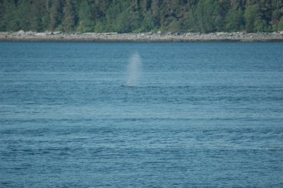 Alaska 2011_103.JPG