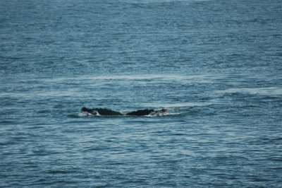 Alaska 2011_107.JPG