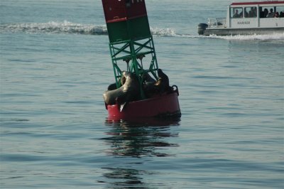 Alaska 2011_116.JPG