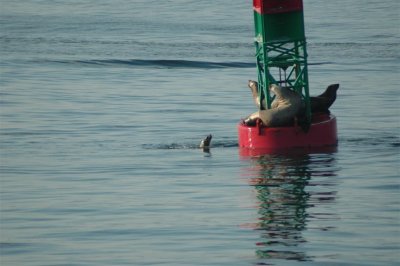 Alaska 2011_117.JPG