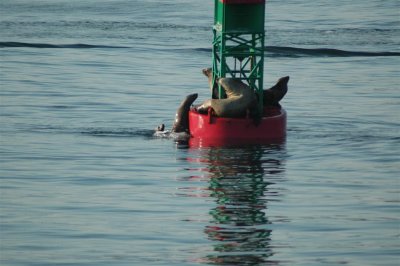 Alaska 2011_118.JPG
