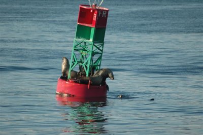 Alaska 2011_119.JPG