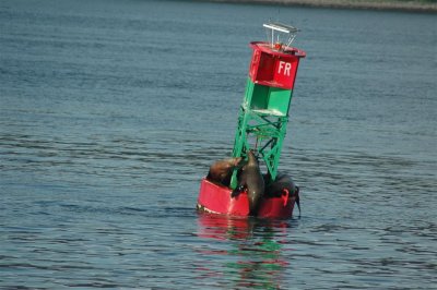 Alaska 2011_121.JPG