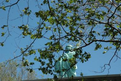 Krishnu in NY_13.JPG
