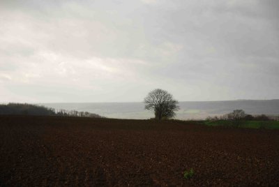 Le Chemin des Dames