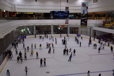The RINK