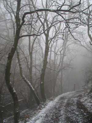 winter walkway