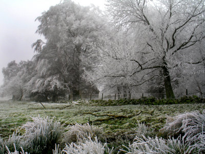shropshire frost (stiperstones)