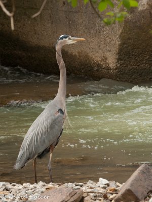 IMG_8225.jpg
