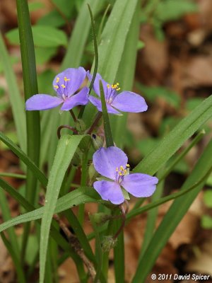 IMG_8669.JPG