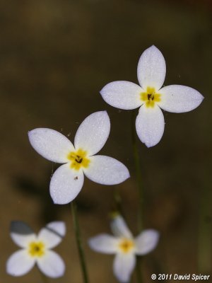 IMG_8672.JPG