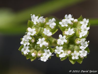 IMG_8873.JPG