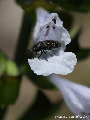 IMG_8901.JPG