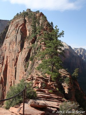 Angels Landing Trail