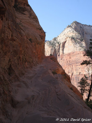 IMG_9282.jpg