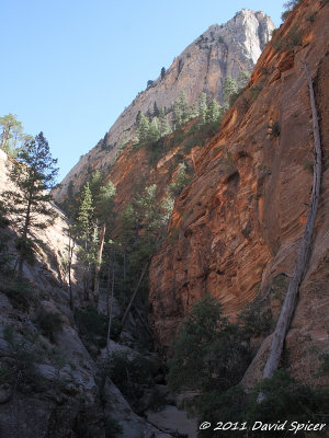 Hidden Canyon