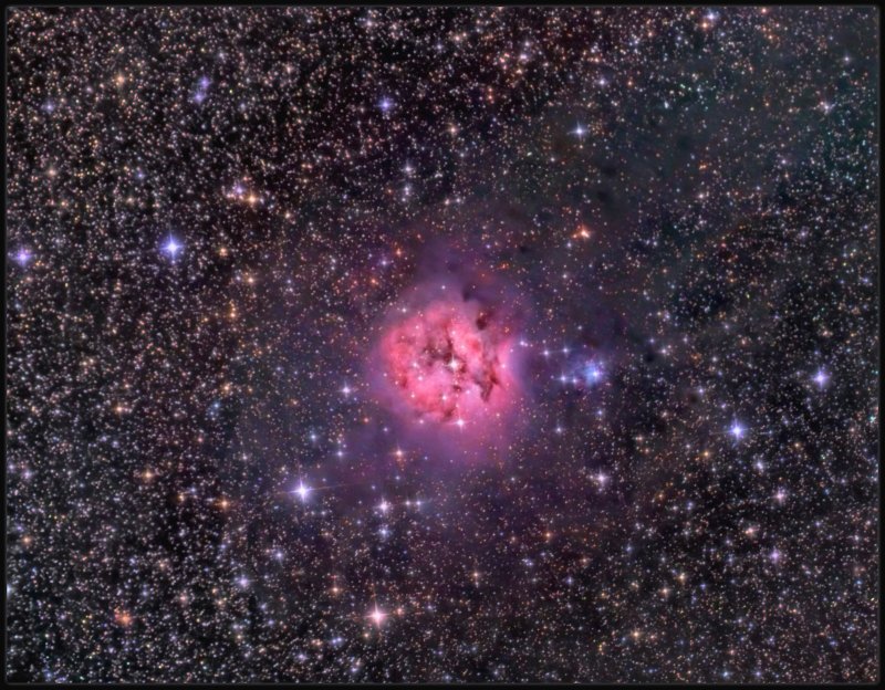 The Cocoon Nebula