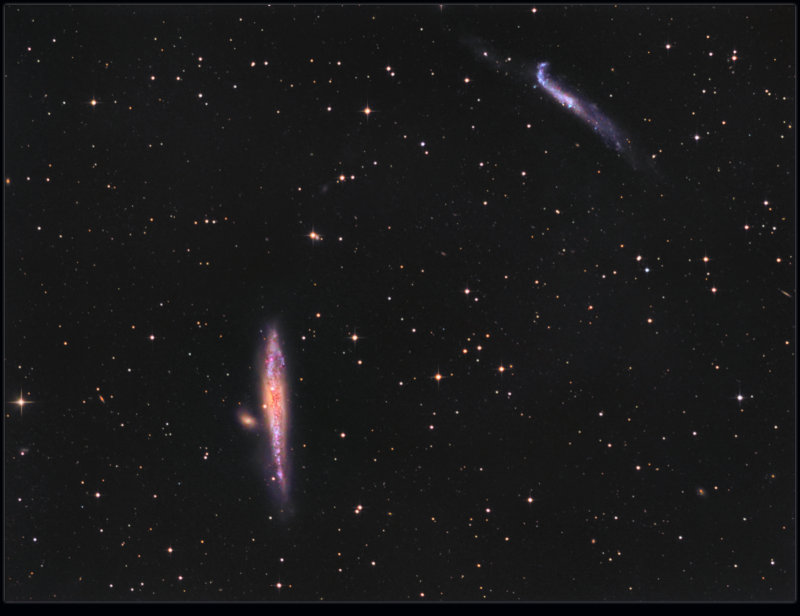 The Whale Galaxy