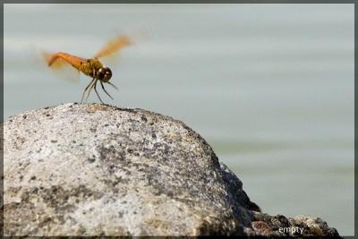 Landing