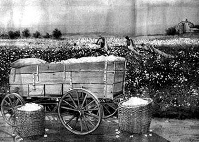 2 - cotton wagon.jpg