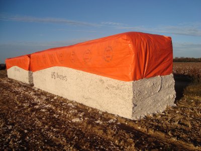 9 - compacted in the field.JPG