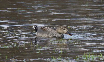 IMG_6614-small.jpg