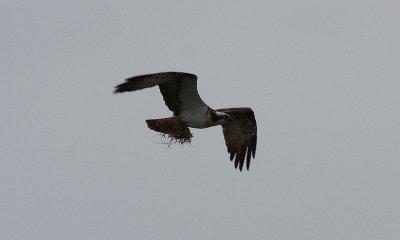 IMG_2342-small.jpg