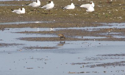 IMG_0124-small.jpg