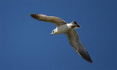 IMG_4326-small.jpg