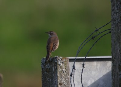 IMG_1947.jpg