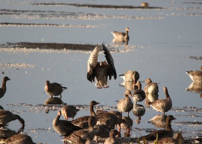 IMG_2012.jpg