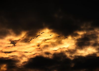 IMG_2113.jpg