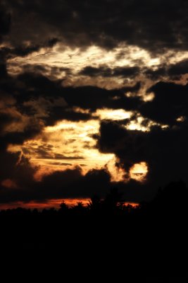 IMG_2118.jpg