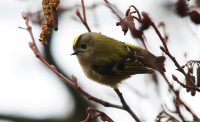 0488-smaller.jpg