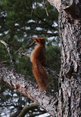 IMG_3748.jpg