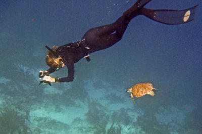 Snorkeling in Bonaire, November 2011