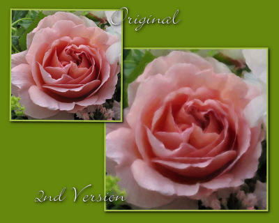 g4/86/100786/3/61576739.7va7uNXS.jpg