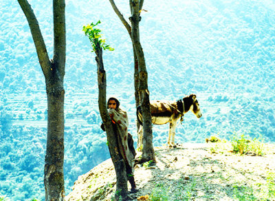 Pakistan, Girl with Donkey