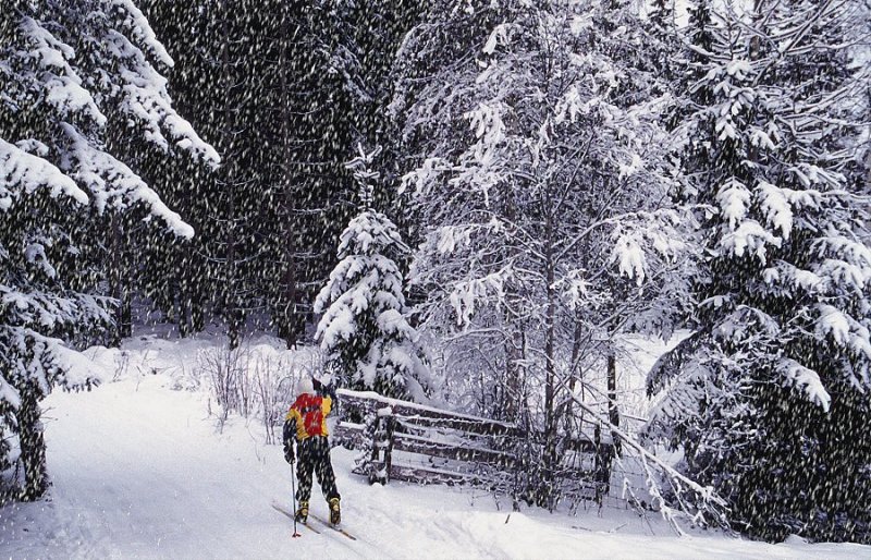 Skiing in Nordmarka, Oslo 