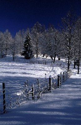 Winter in Nordmarka, Oslo 
