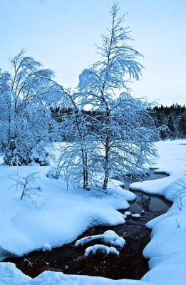 Winter in Nordmarka, Oslo 
