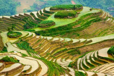 Rice Terraces, Longsheng