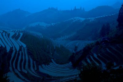 Rice Terraces, Longsheng