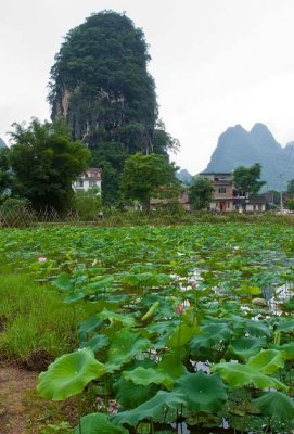 The Karst mountains, Yangshuo