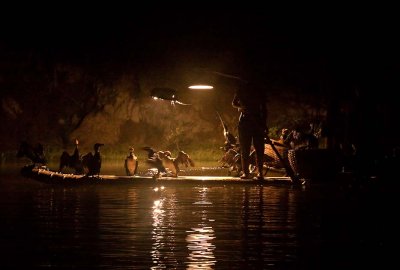 Cormorant fishing, Yangshuo